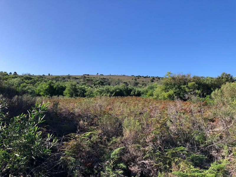 0 Bedroom Property for Sale in Baardskeerdersbos Western Cape